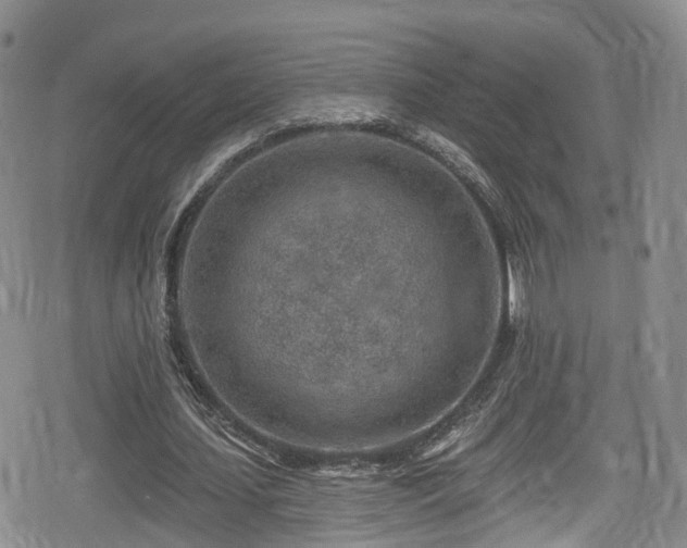 X0000080200627200612081428