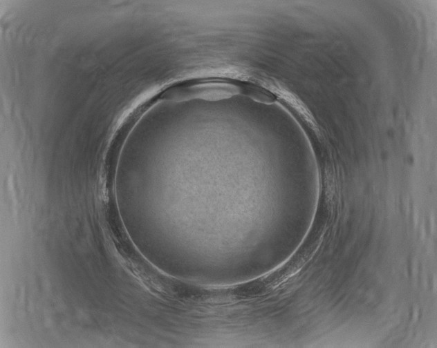 X0000080200628200612081428