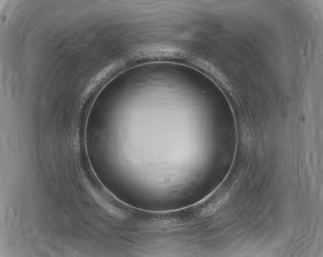 X0000080200629200612081428