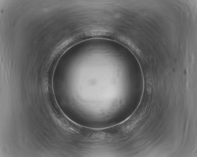 X0000080200631200612081428