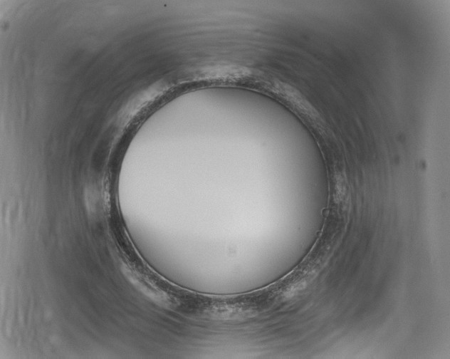 X0000080200632200612081428