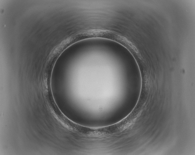 X0000080200633200612081428