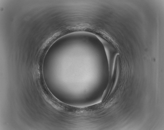 X0000080200634200612081428