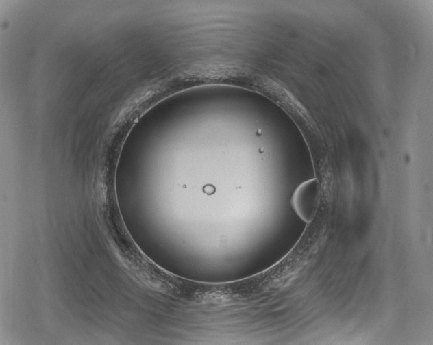 X0000080200635200612081428