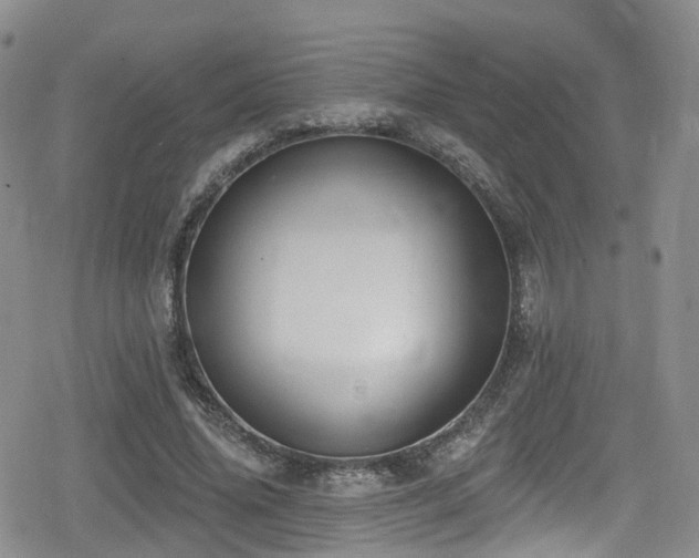 X0000080200636200612081428