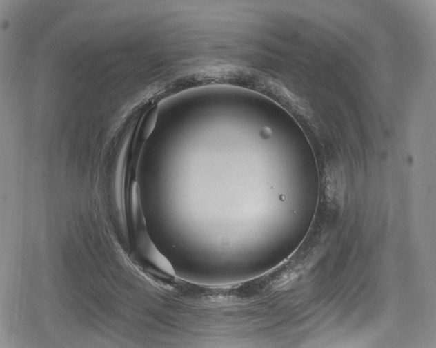 X0000080200637200612081428