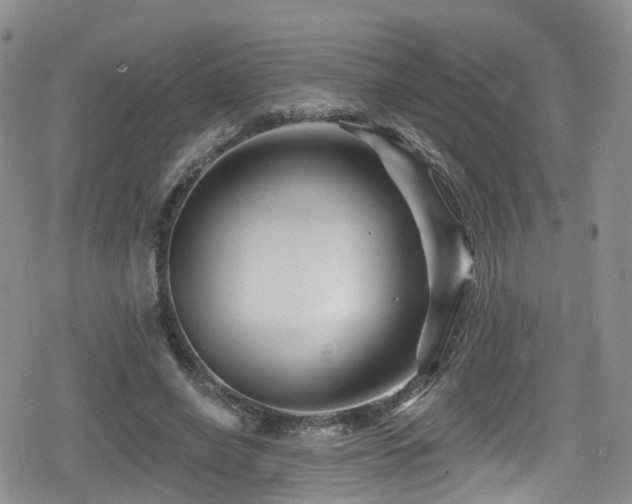 X0000080200638200612081428