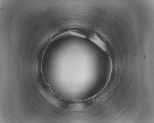 X0000080200639200612081428