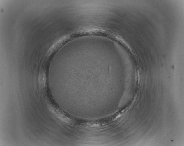 X0000080200640200612081428