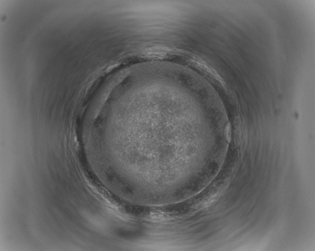 X0000080200641200612081428