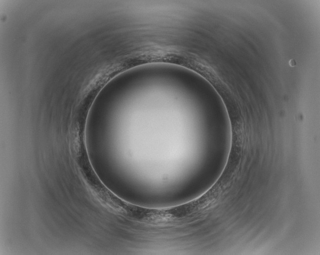 X0000080200642200612081428