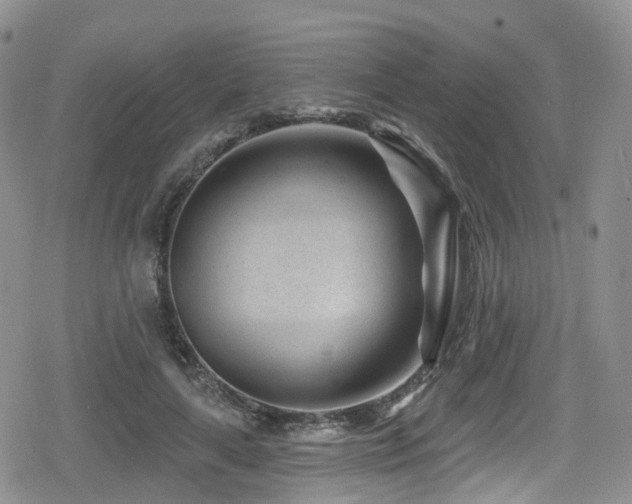 X0000080200643200612081428