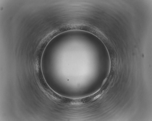 X0000080200644200612081428