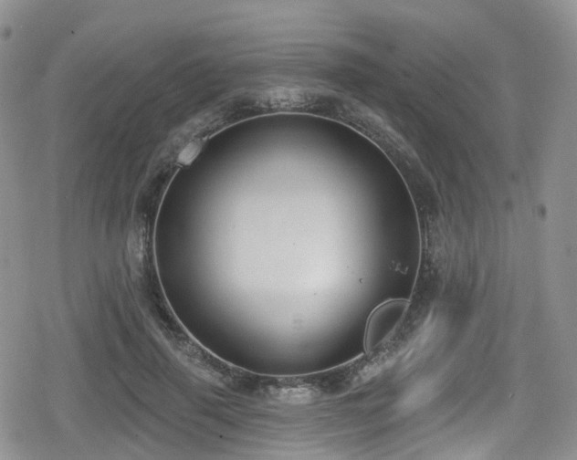 X0000080200645200612081428