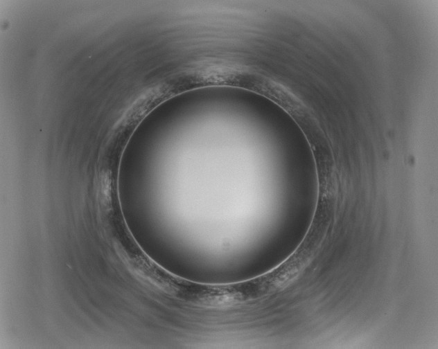 X0000080200646200612081428