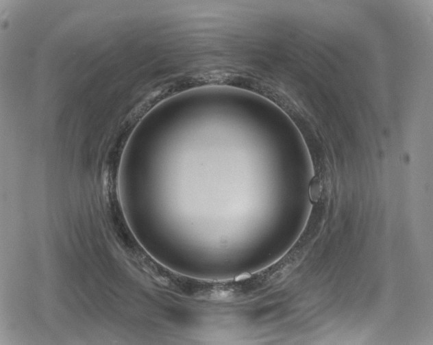 X0000080200647200612081428