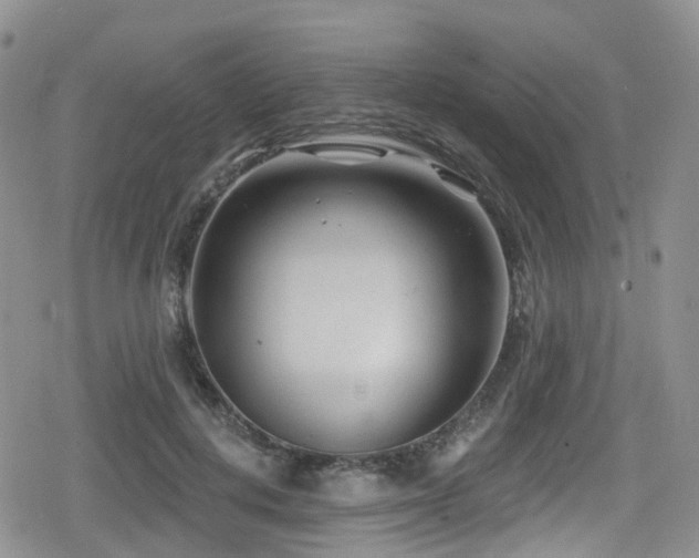 X0000080200648200612081428