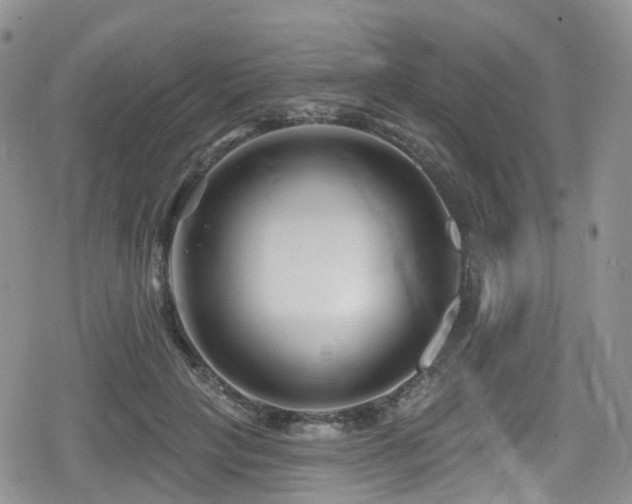 X0000080200649200612081428