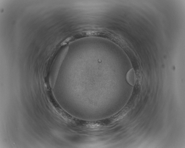 X0000080200650200612081428