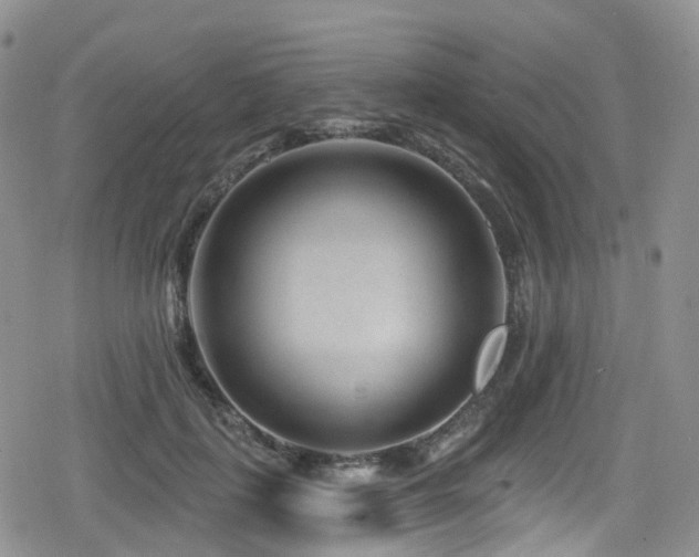 X0000080200651200612081428