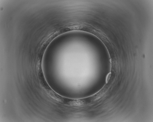 X0000080200652200612081428