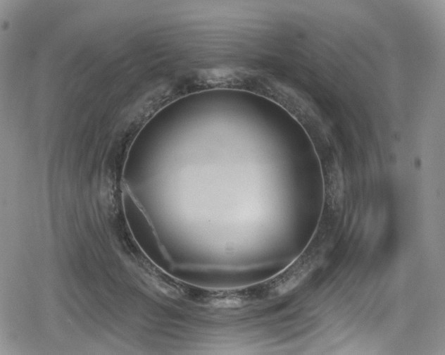 X0000080200653200612081428