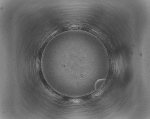 X0000080200654200612081428