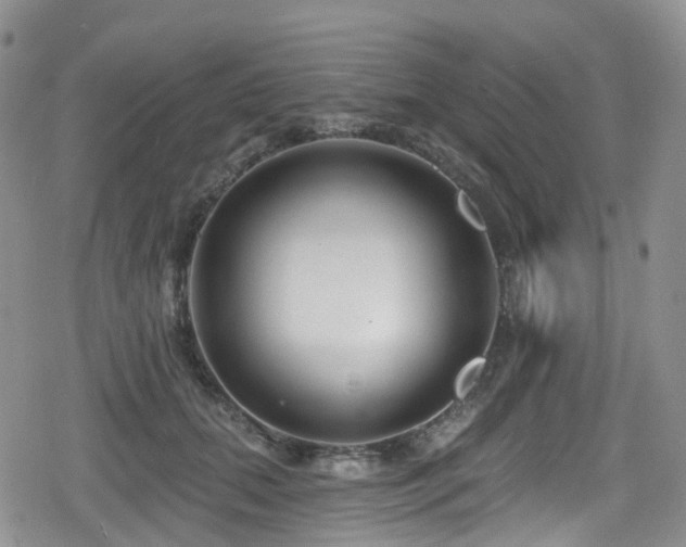 X0000080200655200612081428