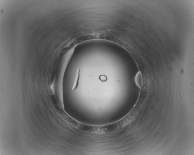 X0000080200656200612081428