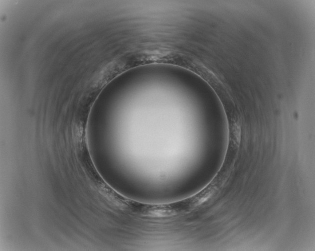 X0000080200657200612081428