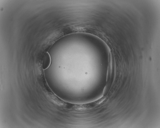 X0000080200658200612081428