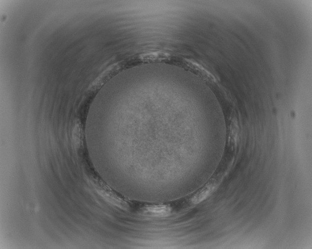 X0000080200659200612081428