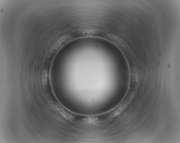 X0000080200660200612081428