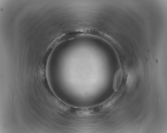 X0000080200661200612081429