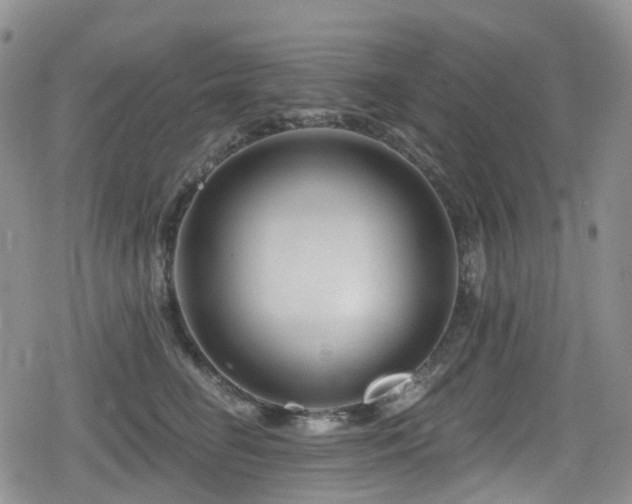 X0000080200662200612081429