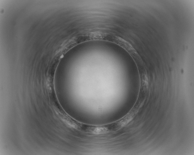 X0000080200663200612081429