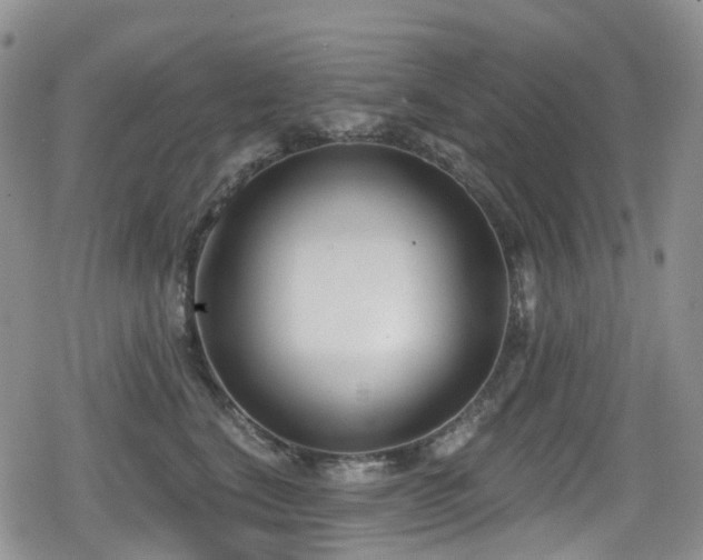 X0000080200664200612081429