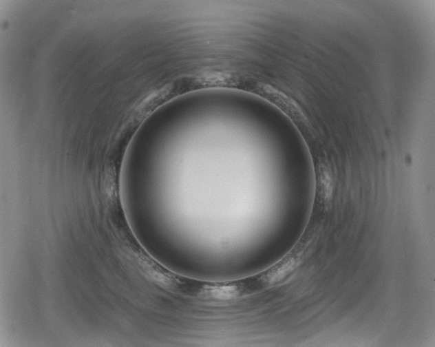 X0000080200665200612081429