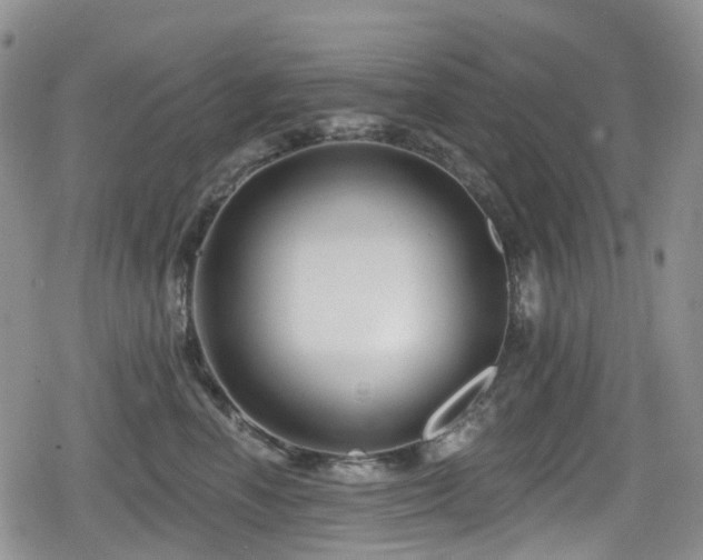 X0000080200666200612081429