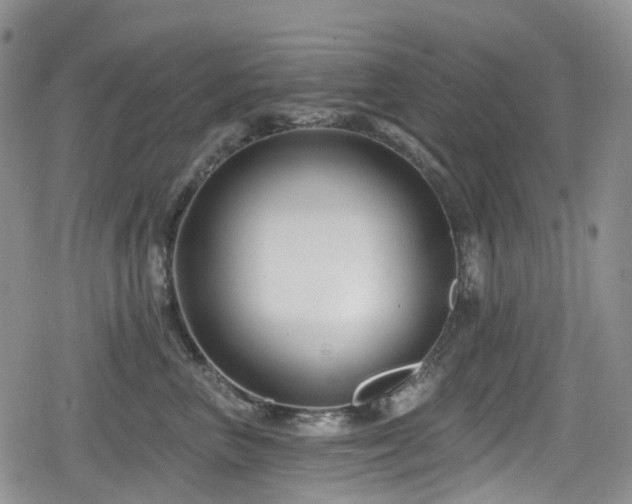 X0000080200667200612081429