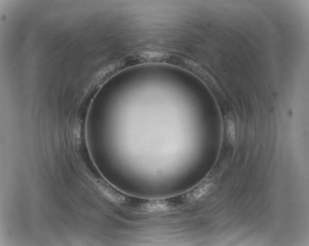 X0000080200668200612081429