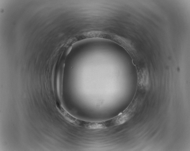 X0000080200669200612081429