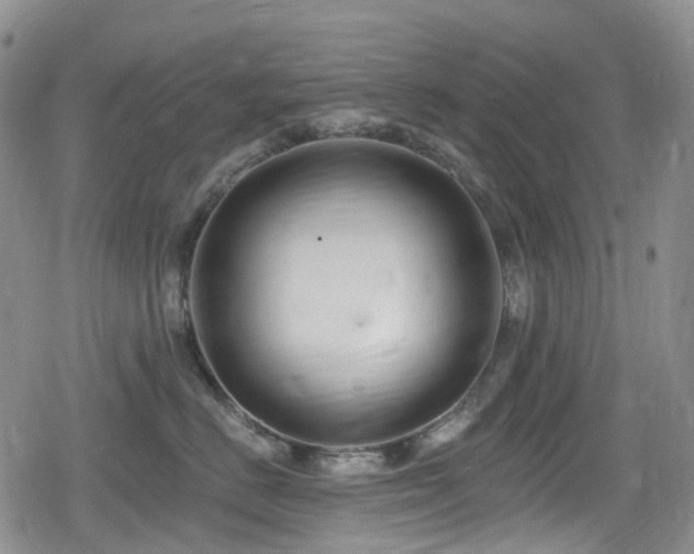 X0000080200670200612081429