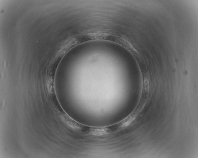 X0000080200671200612081429