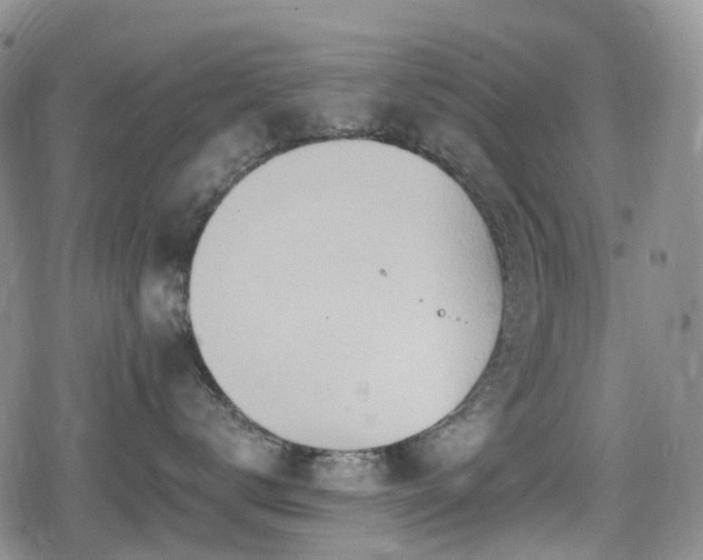 X0000080200672200612081429