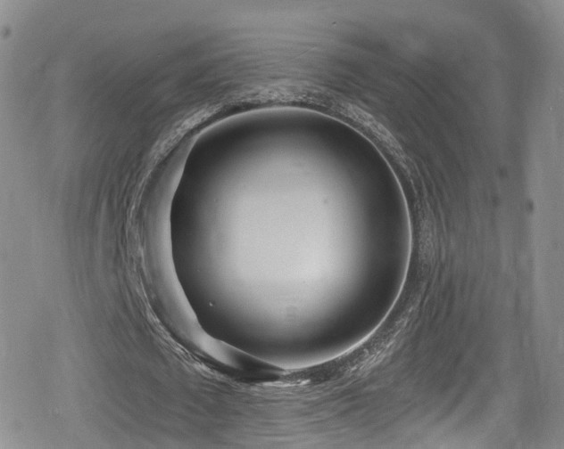 X0000080200673200612081428