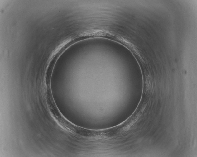 X0000080200674200612081428