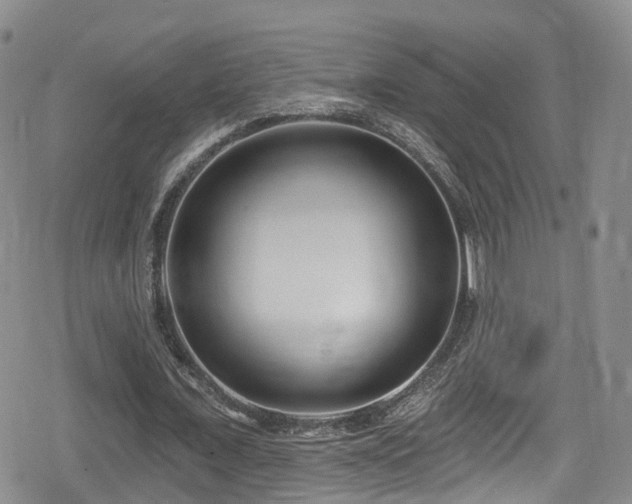 X0000080200675200612081428