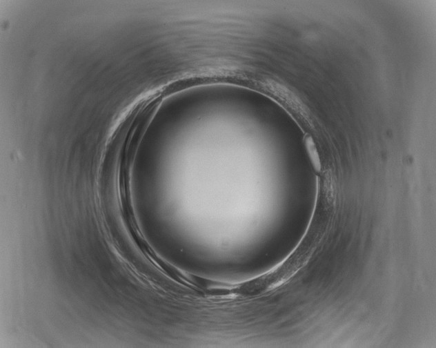 X0000080200676200612081428