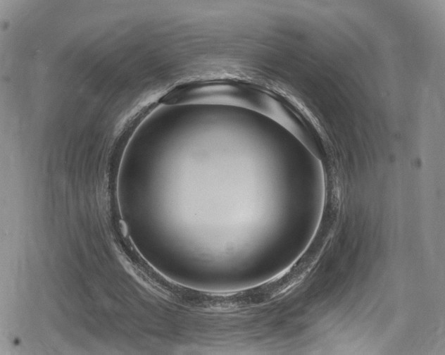 X0000080200677200612081428